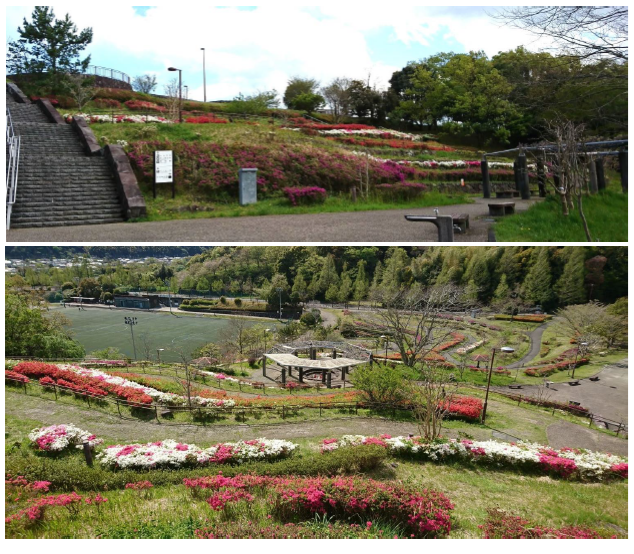 花と水のテラス」のツツジ棚✿ |